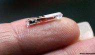 Three Square Market Oferece Implantes RFID NFC aos seus Colaboradores